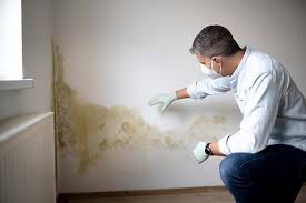 Best Mold Removal for HVAC Installations  in Babson Park, FL